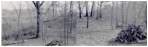 Preview of: 
TopORock_Exterior18.jpg
1611 x 503
(327,629 bytes)