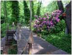 Preview of: 
TopORock_Grounds06.jpg
450 x 337
(59,171 bytes)