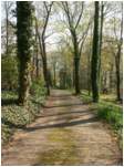 Preview of: 
TopORock_Grounds16.jpg
600 x 800
(230,056 bytes)