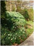 Preview of: 
TopORock_Grounds20.jpg
600 x 800
(232,273 bytes)