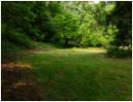 Preview of: 
TopORock_Grounds23.jpg
800 x 600
(150,106 bytes)