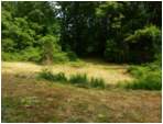 Preview of: 
TopORock_Grounds27.jpg
800 x 600
(175,513 bytes)