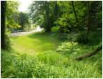 Preview of: 
TopORock_Grounds30.jpg
800 x 600
(182,654 bytes)