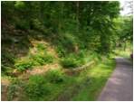 Preview of: 
TopORock_Grounds39.jpg
800 x 600
(175,210 bytes)