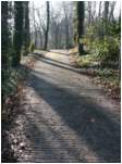 Preview of: 
TopORock_Grounds42.jpg
600 x 800
(213,454 bytes)