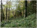 Preview of: 
TopORock_Grounds45.jpg
800 x 600
(247,944 bytes)