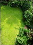 Preview of: 
TopORock_Grounds48.jpg
600 x 800
(179,753 bytes)
